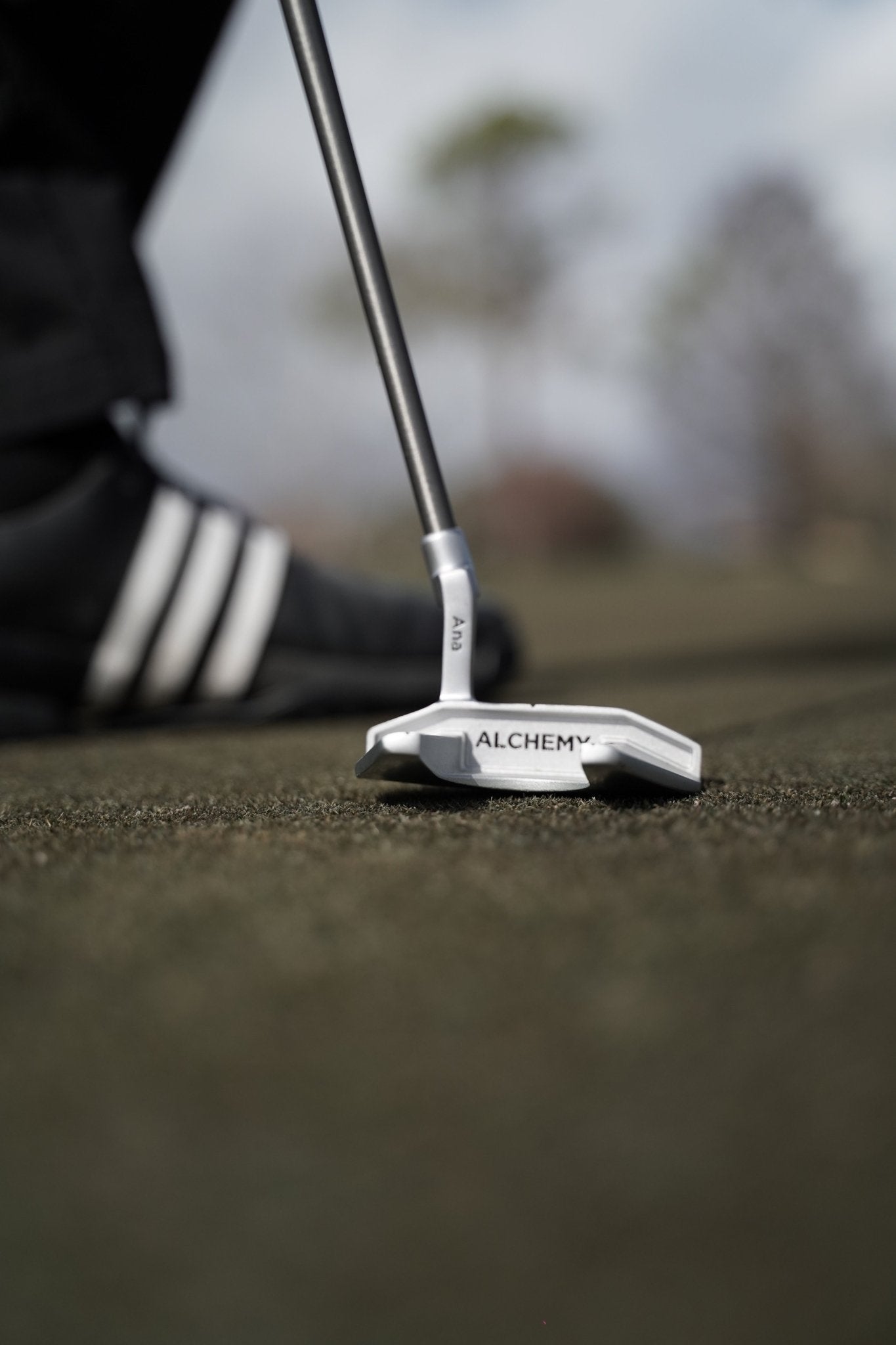 Ana Mallet Putter - Alchemy Golf